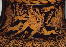 Image result for actaeon